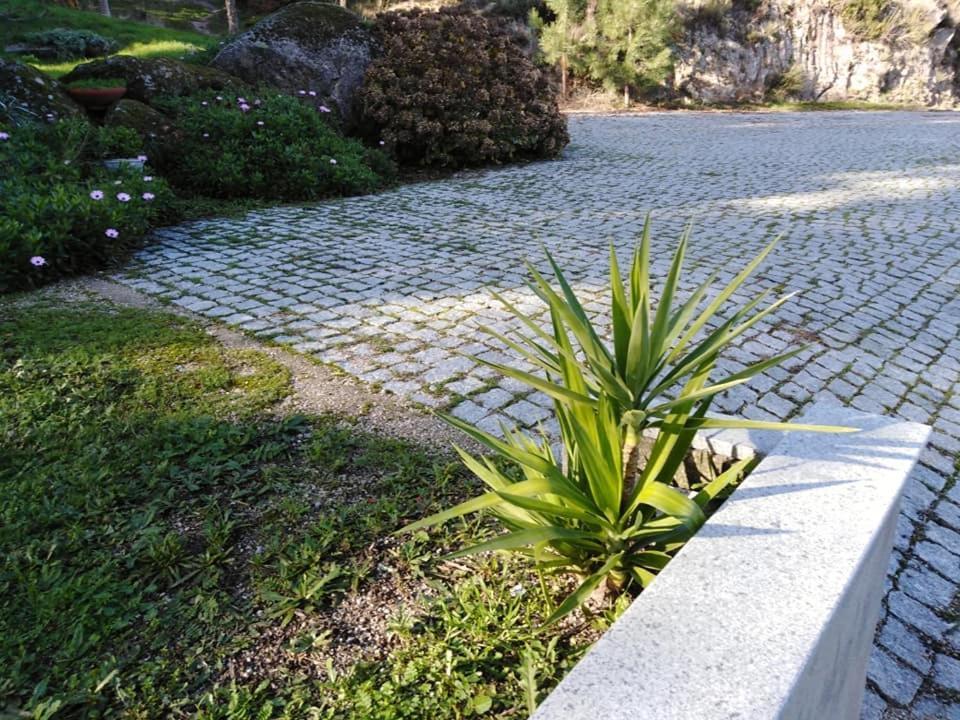 Villa Quinta Souto Da Ordem - House à Castelo Novo Extérieur photo