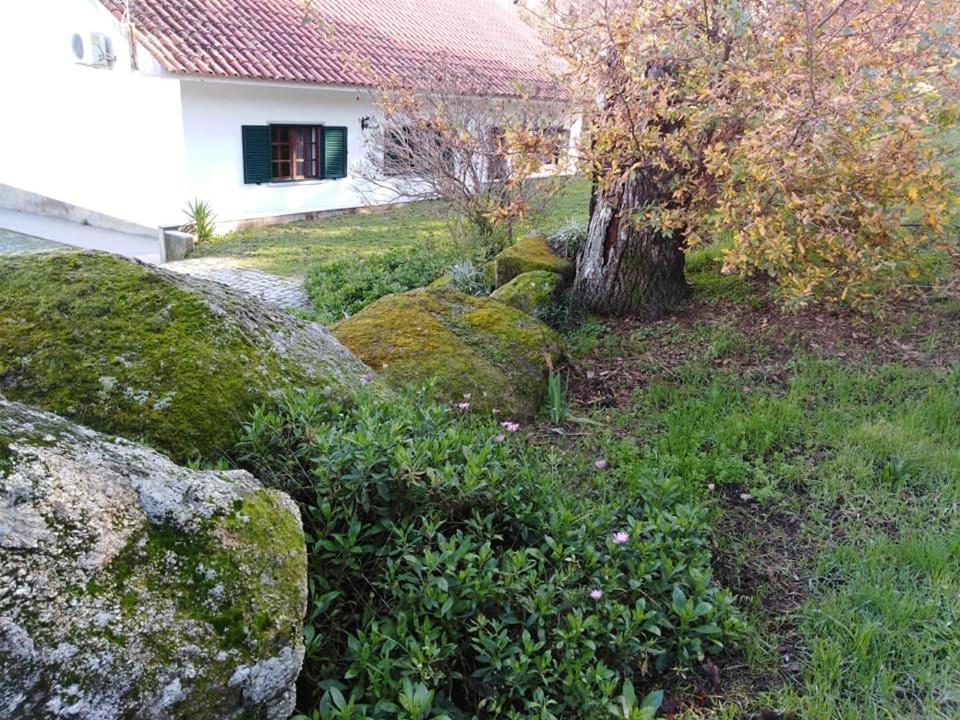 Villa Quinta Souto Da Ordem - House à Castelo Novo Extérieur photo